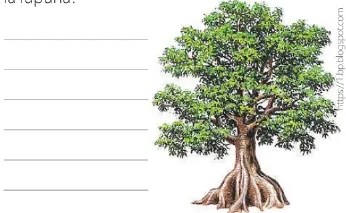 Figura 5 de Lengua Y Literatura · 6 EGB · 2025