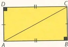 Figura 6 de Matematica · 8 EGB · 2025