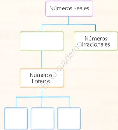 Figura 2 de Matematica · 10 EGB · 2025