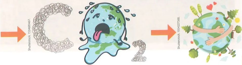 Figura 3 de Ciencias Naturales · 8 EGB · 2025