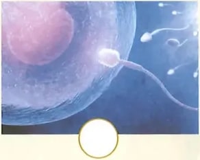 Figura 2 de Ciencias Naturales · 2 EGB · 2025