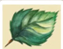 Ilustración de un tazón/cuenco con líquido, etiquetado 'p'uku/puku' (tazón en quechua). Ilustra el uso de <p'> al inicio de palabra y su variante sin eyección.