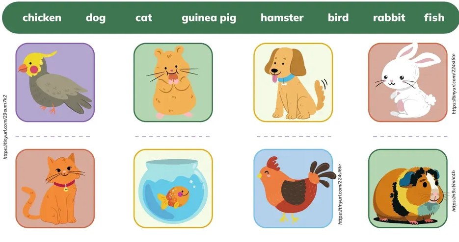 Fila de 4 animales para identificar al exótico: pájaro/loro, gallina, gato, perro.