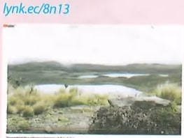 Figura 3 de Ciencias Naturales · 8 EGB · 2025