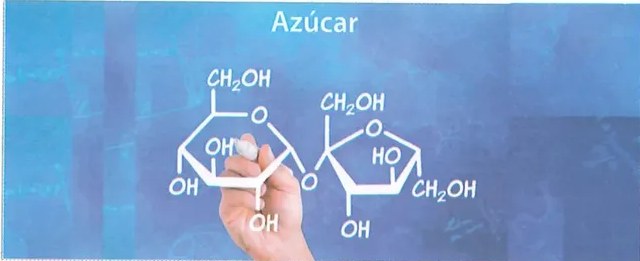 Figura 4 de Ciencias Naturales · 8 EGB · 2025