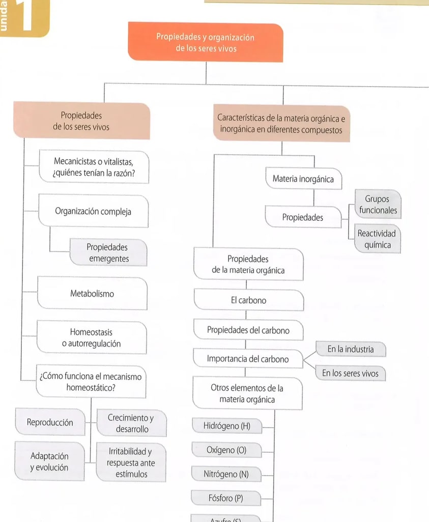 Figura 1 de Ciencias Naturales · 8 EGB · 2025