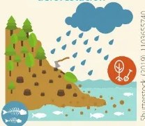 Figura 2 de Ciencias Naturales · 6 EGB · 2025