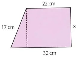 Figura 6 de Matematica · 8 EGB · 2025