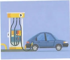 Figura 4 de Ciencias Naturales · 8 EGB · 2025