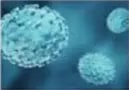 Virus de viruela bajo microscopio.