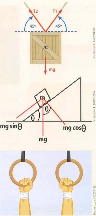 Figura 2 de Ciencias Naturales · 9 EGB · 2024