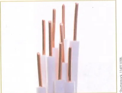 Figura 3 de Ciencias Naturales · 8 EGB · 2025