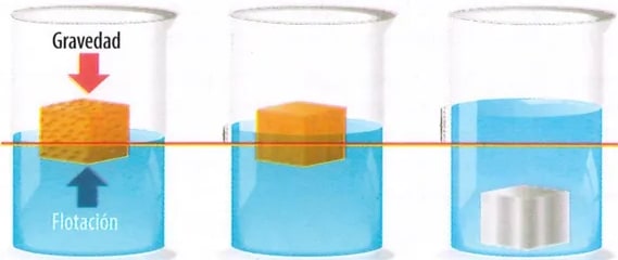 Figura 3 de Ciencias Naturales · 9 EGB · 2024