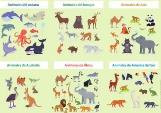Figura 4 de Lengua Y Literatura · 5 EGB · 2024