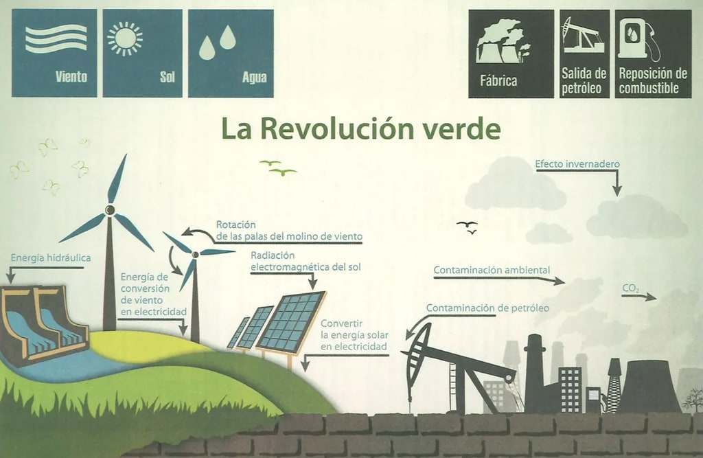 Figura 1 de Ciencias Naturales · 8 EGB · 2025
