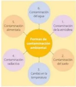 Figura 5 de Estudios Sociales · 5 EGB · 2024