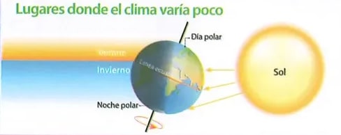 Figura 4 de Ciencias Naturales · 8 EGB · 2025