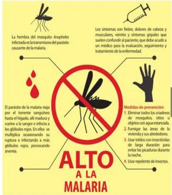 Figura 4 de Ciencias Naturales · 5 EGB · 2024
