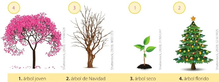 Figura 2 de Lengua Y Literatura · 6 EGB · 2025
