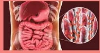 Figura 6 de Ciencias Naturales · 6 EGB · 2025
