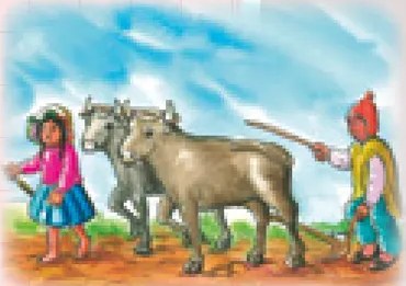 Ilustración de personas de comunidad aimara realizando labores agrícolas de preparación del suelo o siembra de papa en campo andino.