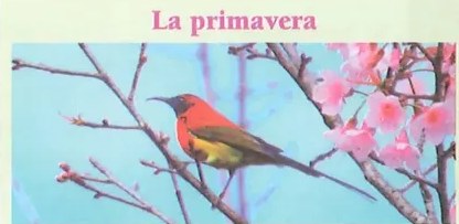 Figura 2 de Lengua Y Literatura · 10 EGB · 2025
