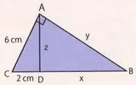 Figura 5 de Matematica · 8 EGB · 2025