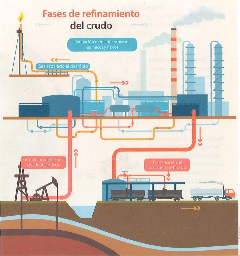 Figura 2 de Ciencias Naturales · 9 EGB · 2024