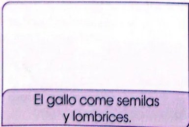 Figura 3 de Lengua Y Literatura · 3 EGB · 2025