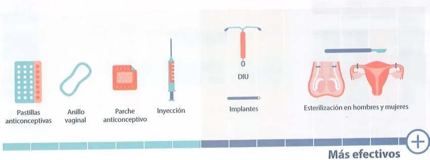 Figura 8 de Ciencias Naturales · 10 EGB · 2024
