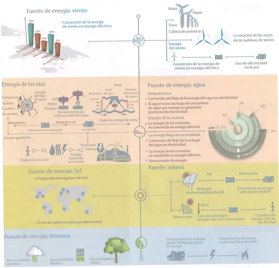 Figura 1 de Ciencias Naturales · 8 EGB · 2025