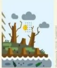 Figura 9 de Ciencias Naturales · 5 EGB · 2024