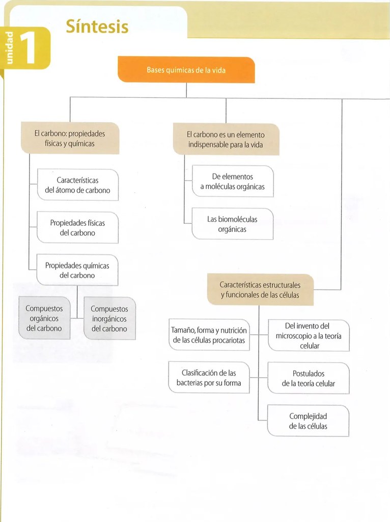 Figura 2 de Ciencias Naturales · 9 EGB · 2024