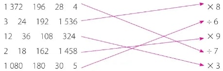 Figura 1 de Matematica · 6 EGB · 2025