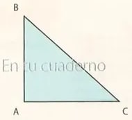 Figura 5 de Matematica · 8 EGB · 2025