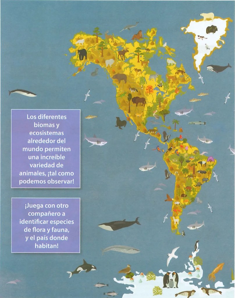 Figura 2 de Ciencias Naturales · 9 EGB · 2024