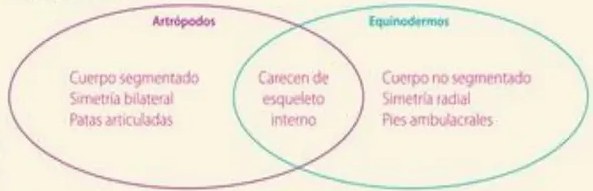 Figura 5 de Ciencias Naturales · 5 EGB · 2024