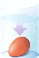 Figura 2 de Ciencias Naturales · 7 EGB · 2024