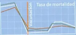 Figura 11 de Ciencias Naturales · 8 EGB · 2025