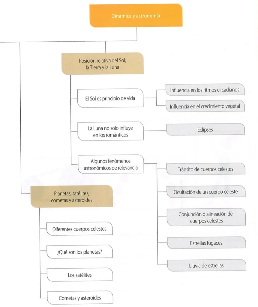 Figura 1 de Ciencias Naturales · 8 EGB · 2025