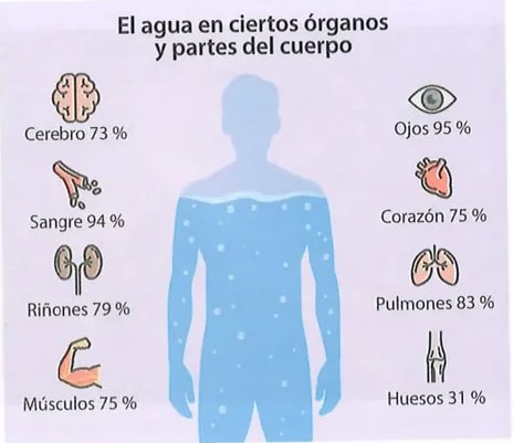 Figura 1 de Ciencias Naturales · 8 EGB · 2025