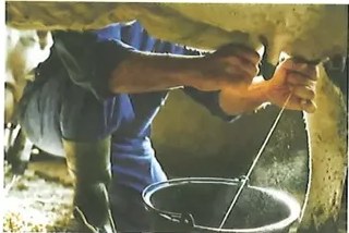 Figura 4 de Ciencias Naturales · 2 EGB · 2025