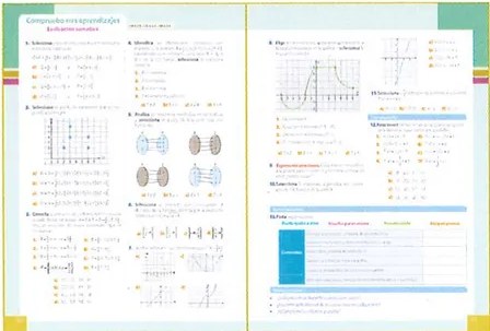 Figura 6 de Matematica · 9 EGB · 2025