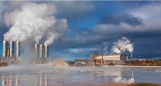 Figura 1 de Ciencias Naturales · 6 EGB · 2025