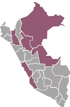 Figura 2 de Lenguas originarias del Perú · 2018