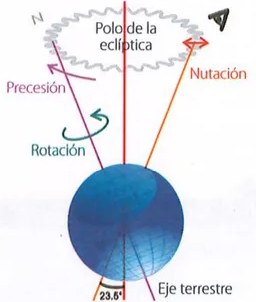 Figura 4 de Ciencias Naturales · 9 EGB · 2024