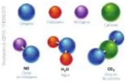 Silueta humana con porcentaje de elementos químicos (65% oxígeno).