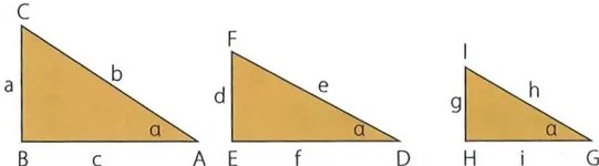 Figura 5 de Matematica · 10 EGB · 2025