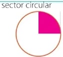 Figura 13 de Matematica · 6 EGB · 2025