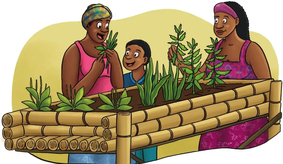 Ilustración de una mujer afroecuatoriana con pañuelo verde, un niño y otra mujer con pañuelo rosa, todos junto a una huerta sembrada en una estructura elevada de bambú (cama de cultivo). La escena ilustra exactamente la propuesta del huerto escolar de plantas medicinales y la transmisión intergeneracional del saber.